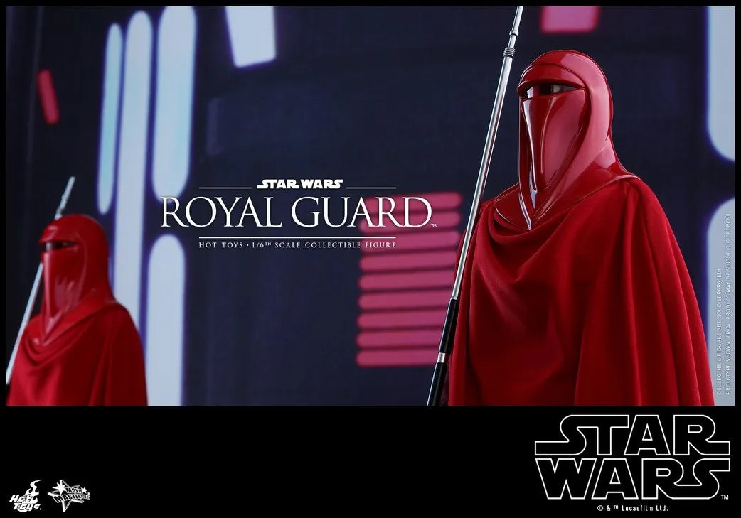 Hot Toys - MMS469 - Star Wars Episode VI Return of The Jedi - Royal Guard Collectible Figure
