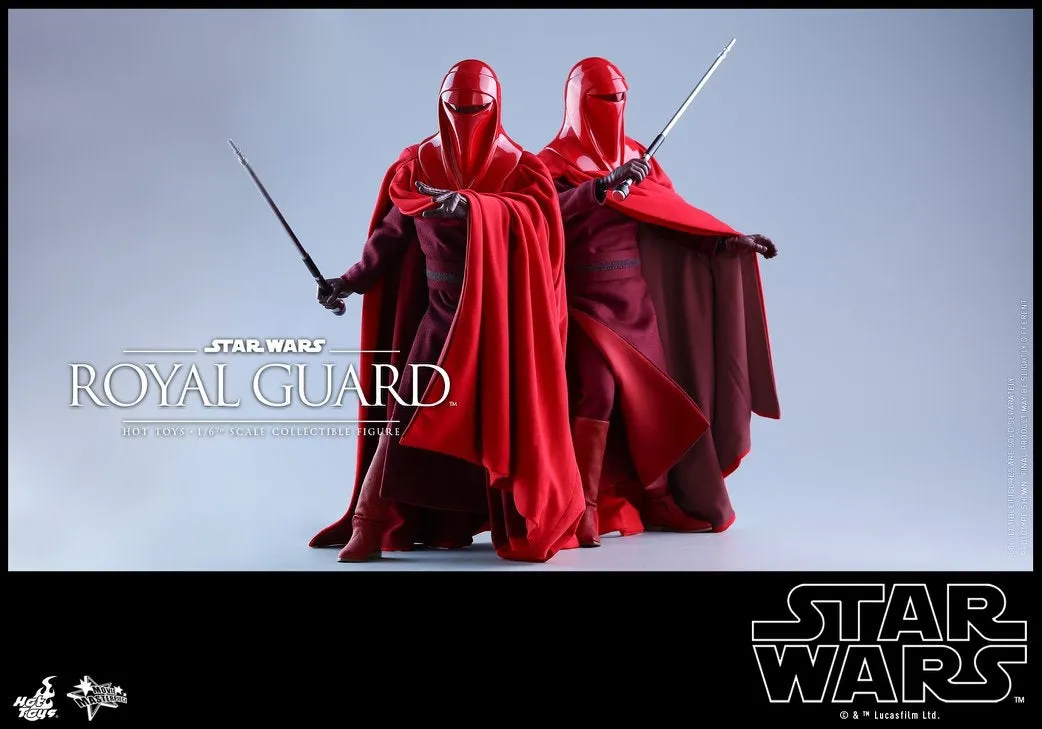 Hot Toys - MMS469 - Star Wars Episode VI Return of The Jedi - Royal Guard Collectible Figure