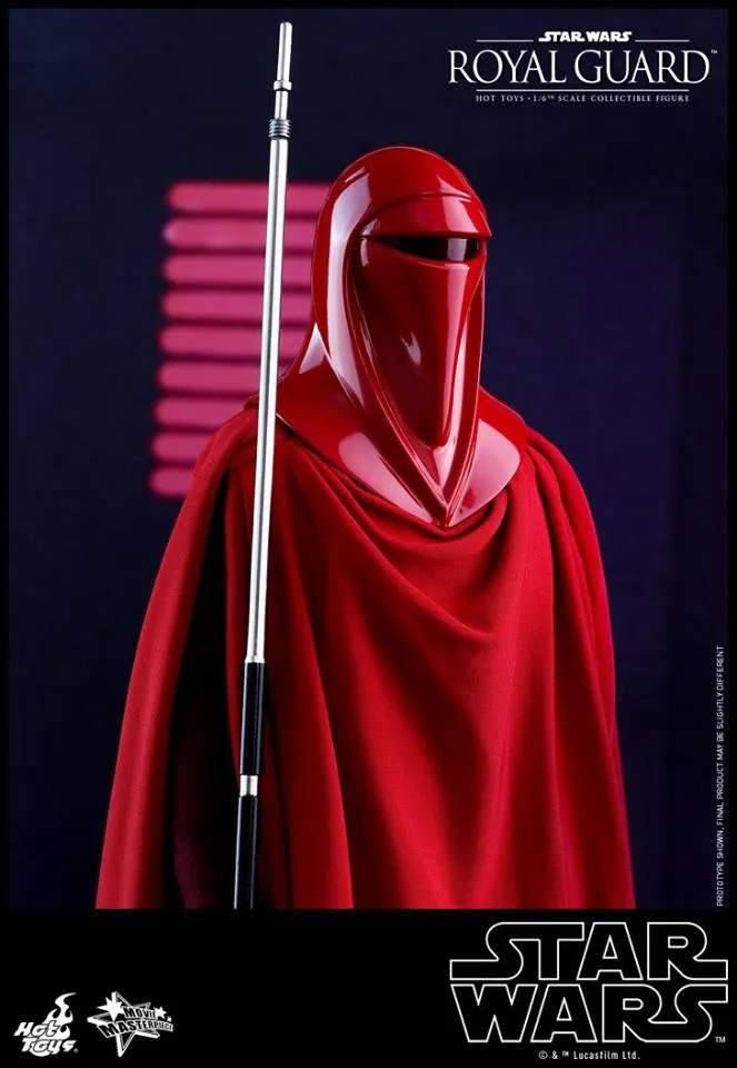 Hot Toys - MMS469 - Star Wars Episode VI Return of The Jedi - Royal Guard Collectible Figure
