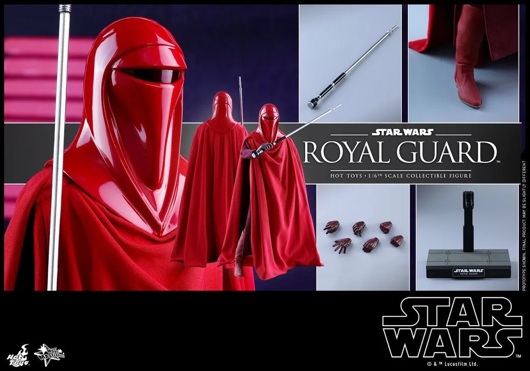 Hot Toys - MMS469 - Star Wars Episode VI Return of The Jedi - Royal Guard Collectible Figure