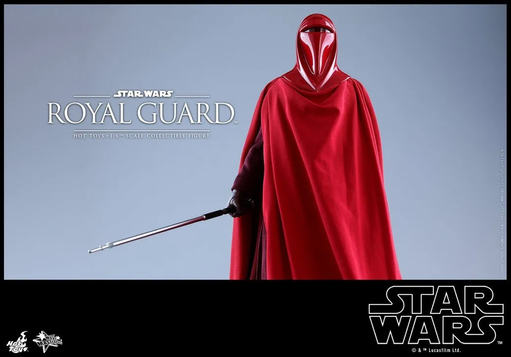Hot Toys - MMS469 - Star Wars Episode VI Return of The Jedi - Royal Guard Collectible Figure