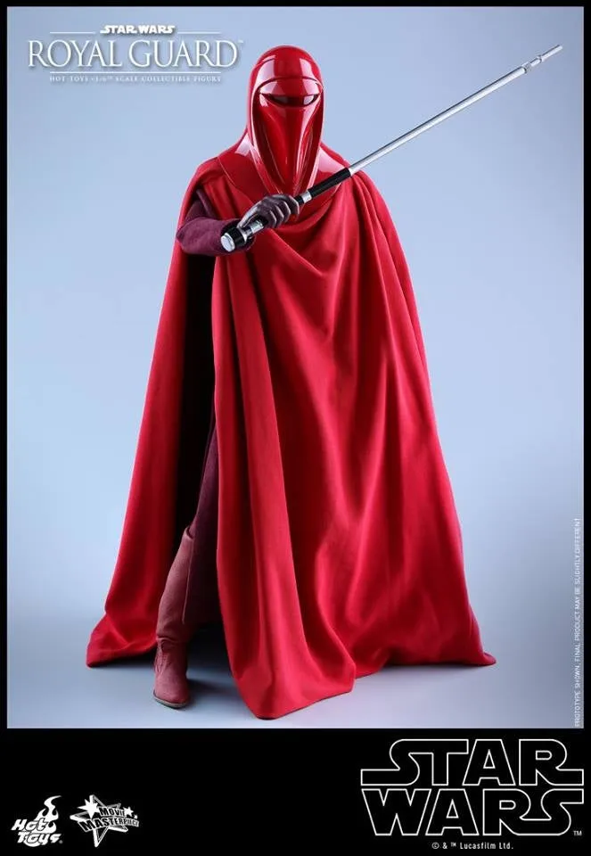 Hot Toys - MMS469 - Star Wars Episode VI Return of The Jedi - Royal Guard Collectible Figure