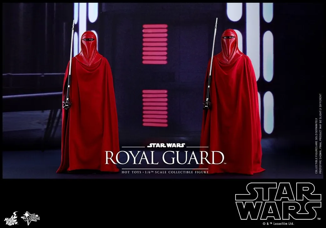 Hot Toys - MMS469 - Star Wars Episode VI Return of The Jedi - Royal Guard Collectible Figure