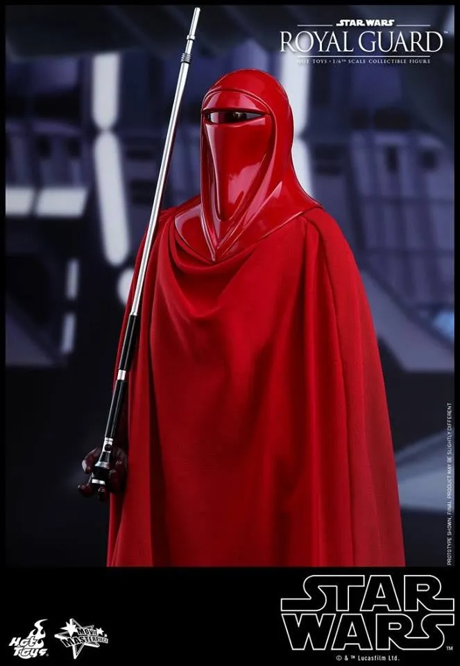 Hot Toys - MMS469 - Star Wars Episode VI Return of The Jedi - Royal Guard Collectible Figure