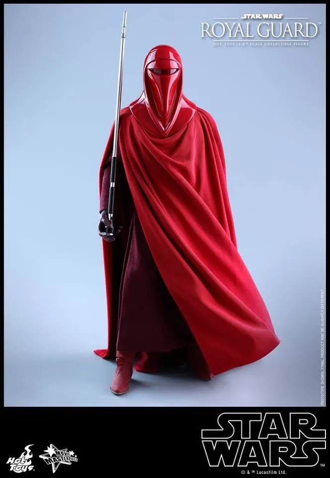 Hot Toys - MMS469 - Star Wars Episode VI Return of The Jedi - Royal Guard Collectible Figure