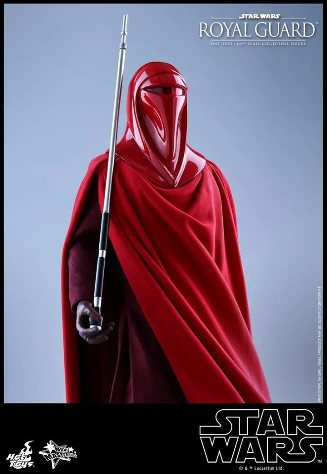 Hot Toys - MMS469 - Star Wars Episode VI Return of The Jedi - Royal Guard Collectible Figure