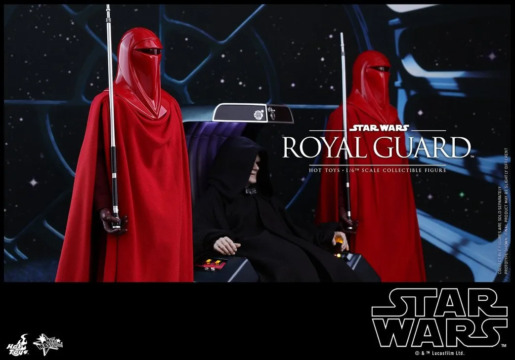 Hot Toys - MMS469 - Star Wars Episode VI Return of The Jedi - Royal Guard Collectible Figure