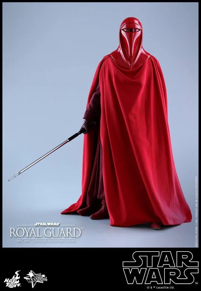 Hot Toys - MMS469 - Star Wars Episode VI Return of The Jedi - Royal Guard Collectible Figure