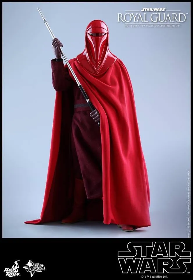 Hot Toys - MMS469 - Star Wars Episode VI Return of The Jedi - Royal Guard Collectible Figure