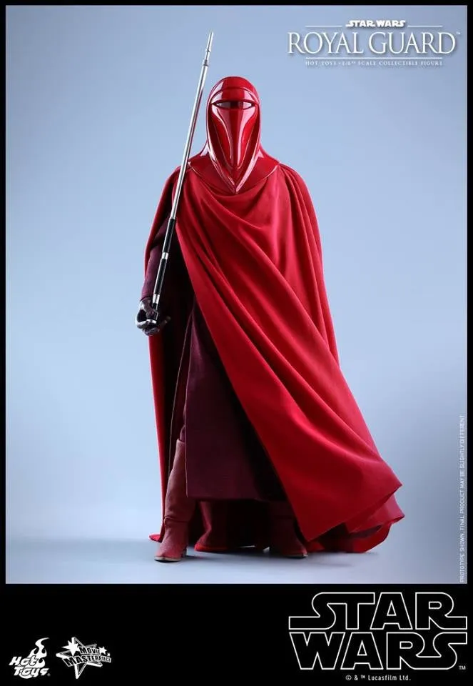 Hot Toys - MMS469 - Star Wars Episode VI Return of The Jedi - Royal Guard Collectible Figure