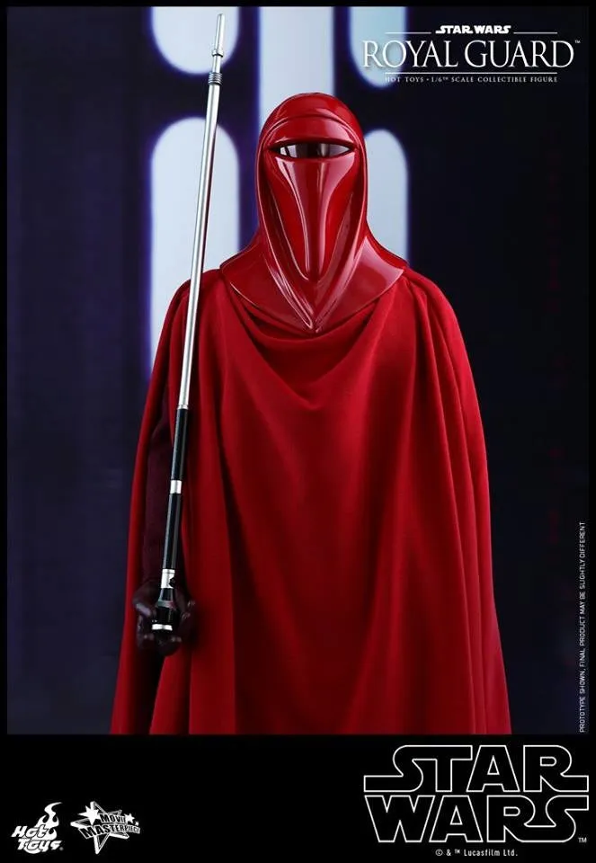 Hot Toys - MMS469 - Star Wars Episode VI Return of The Jedi - Royal Guard Collectible Figure