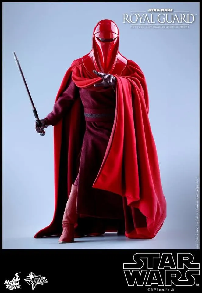 Hot Toys - MMS469 - Star Wars Episode VI Return of The Jedi - Royal Guard Collectible Figure